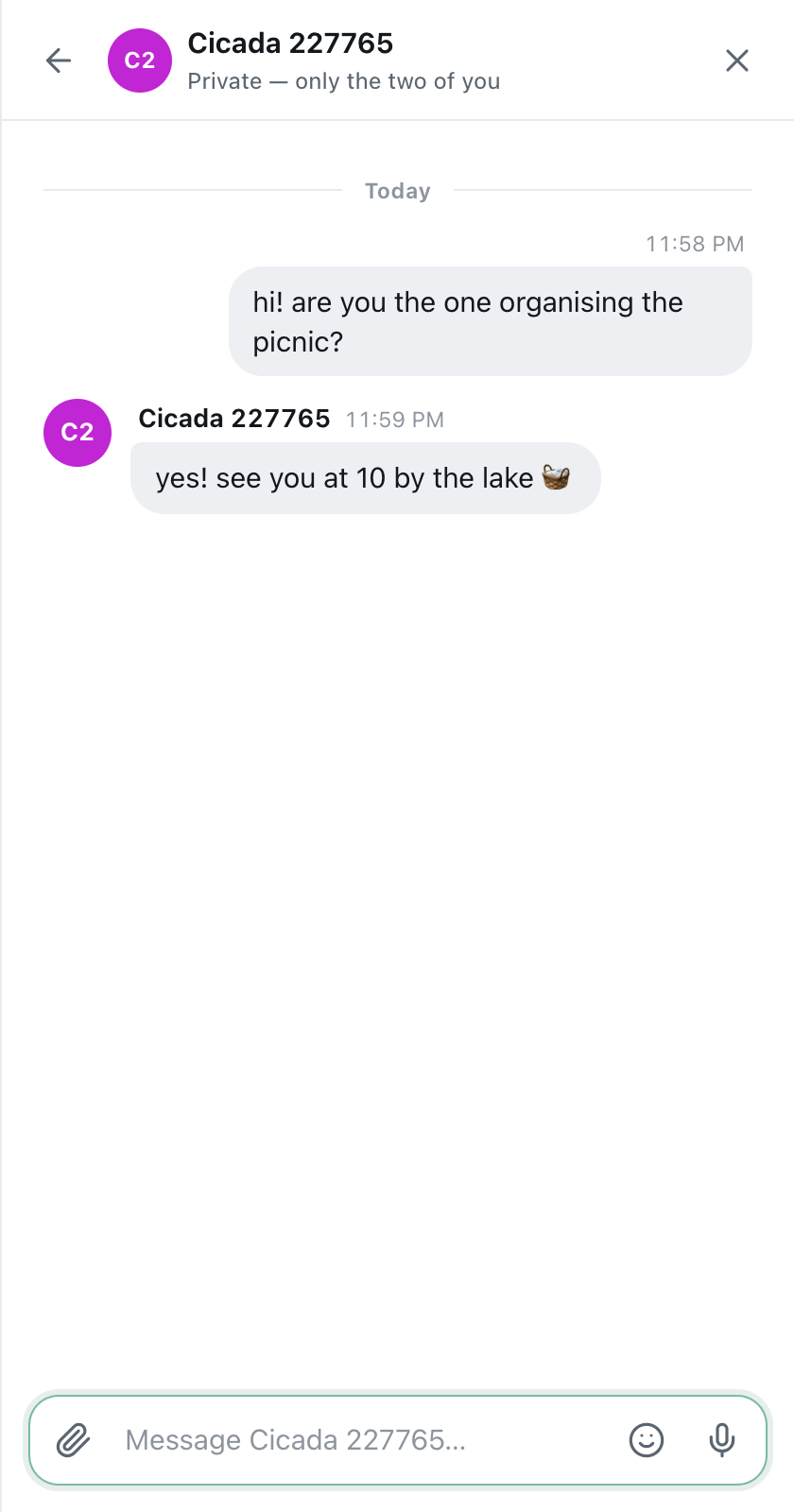 a CicadaChat private chat between two guests, with a question about a picnic and a reply about meeting by the lake