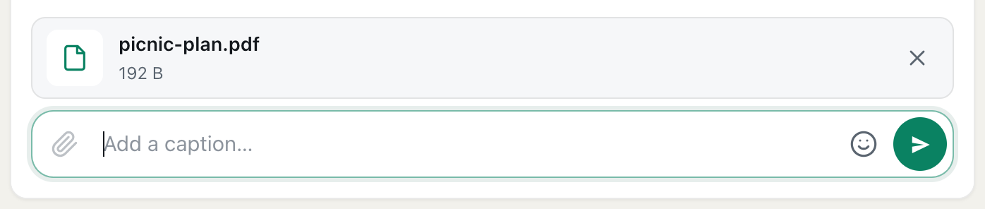 a cicadachat document named picnic-plan.pdf waiting above the message box, with its size and a remove button