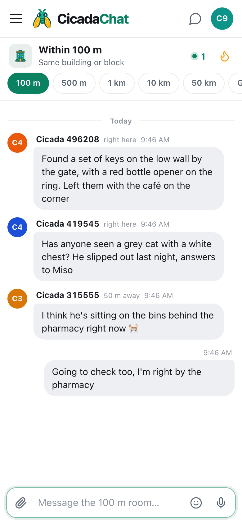 Lost a cat, found a key: using the 100 m room for lost and found on your block